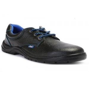 Allen Cooper AC-7005 Steel Toe Safety Shoes, Size: 12